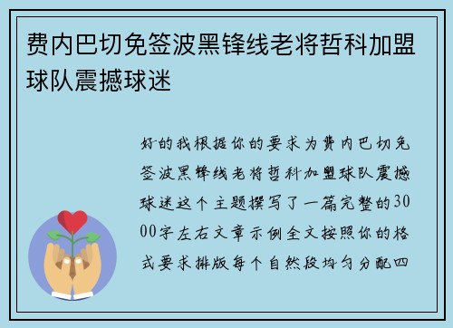 费内巴切免签波黑锋线老将哲科加盟球队震撼球迷